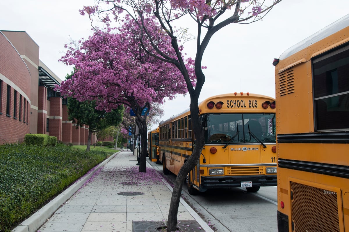 School buses waiting for students in front of Burbank High School, California
