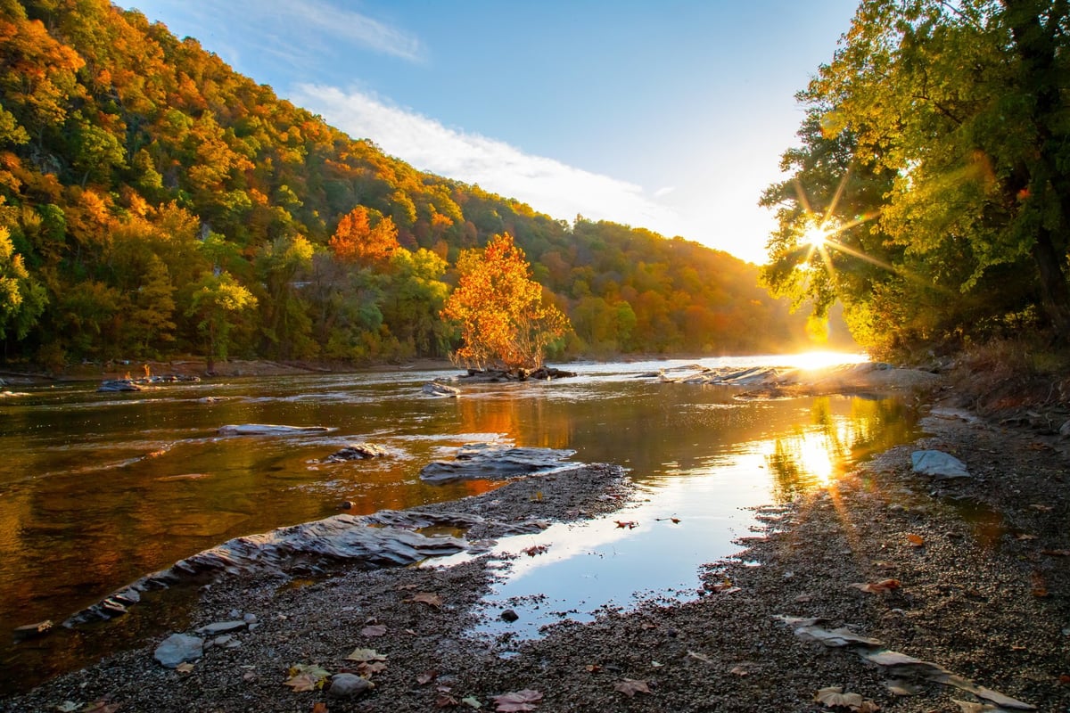 The Big Pee Dee River near Florence, South Carolina.