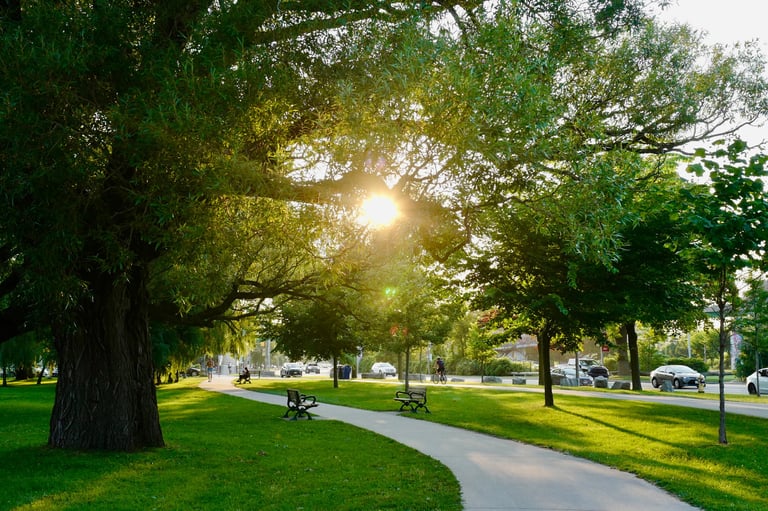 Peaceful American city park with walking trail trees and green space