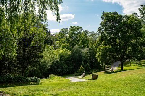 Edwards Gardens park with beautiful landscaping trees and green space