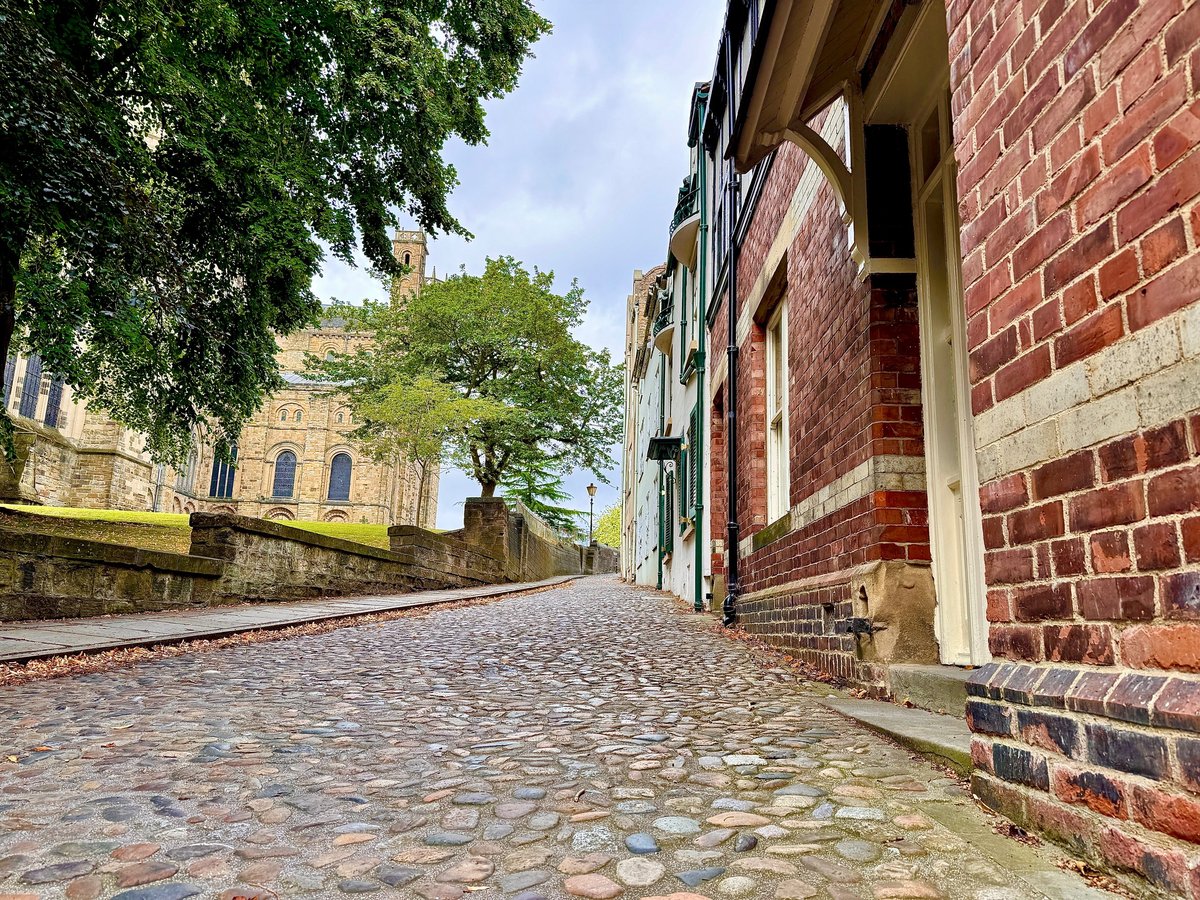 Cobblestone street with cathedral in distance