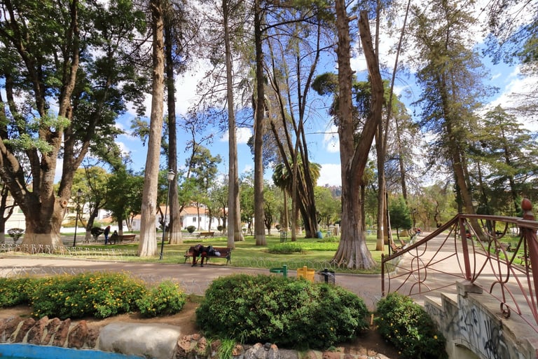 People enjoying time at Simon Bolivar Park