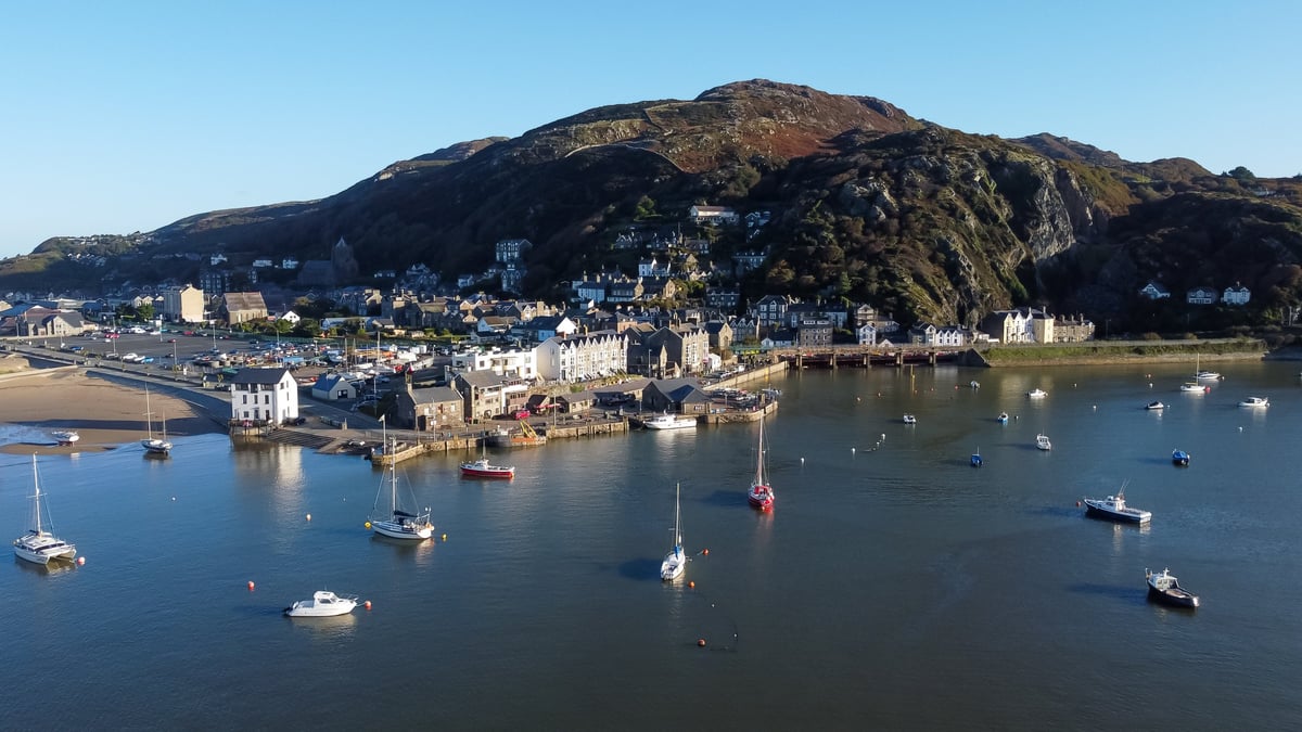Waterfront harbor with boats and buildings