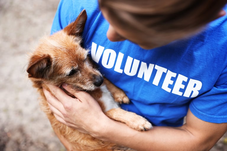Volunteer with a rescue animal at a community charity event in Florence, South Carolina.