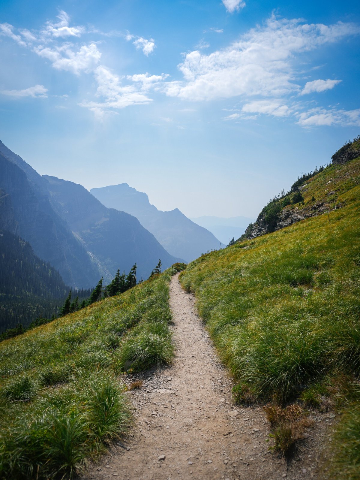 Foot path with mountain views and lush grass
