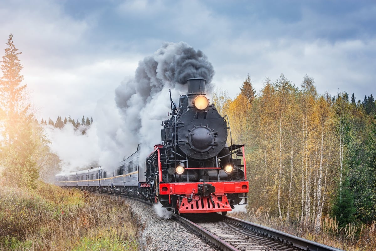 Steam retro train moves in the autumn forest
